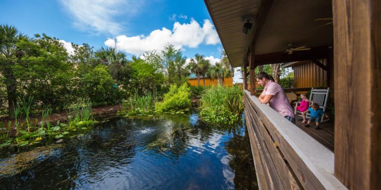 15 Best Things to Do in Davenport FL with Kids