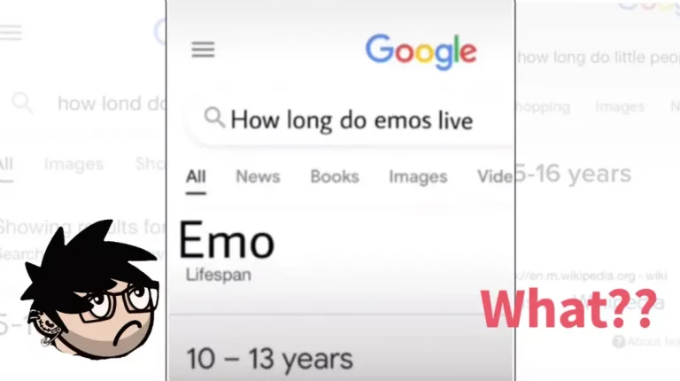 How Long Do Emos Live? Joke Explanation